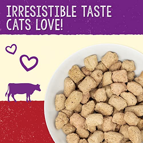 Stella & Chewy’s Freeze-Dried Uncooked Cat Dinner Morsels – Grain Free, Protein Wealthy Cat & Kitten Meals – Bountiful Beef Recipe – 18 oz Bag Stella & Chewy’s Freeze-Dried Uncooked Cat Dinner Morsels – Grain Free, Protein Wealthy Cat & Kitten Meals – Bountiful Beef Recipe – 18 oz Bag