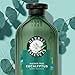 Herbal Essences Eucalyptus Sulfate Free Shampoo, Scalp Balance, 13.5 Fl Oz, with Certified Camellia Oil and Aloe Vera, For All Hair Types, Especially Dry Scalp