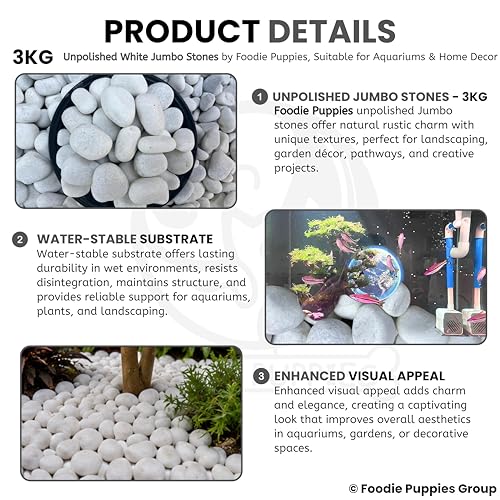 Image of Foodie Puppies Unpolished White Decorative Stones (3Kg, Jumbo Extra Large) (8cm - 12cm) for Garden Landscaping, Swimming Pools, Fish Tanks, Home Decor, Indoor & Outdoor Decorative Pebbles