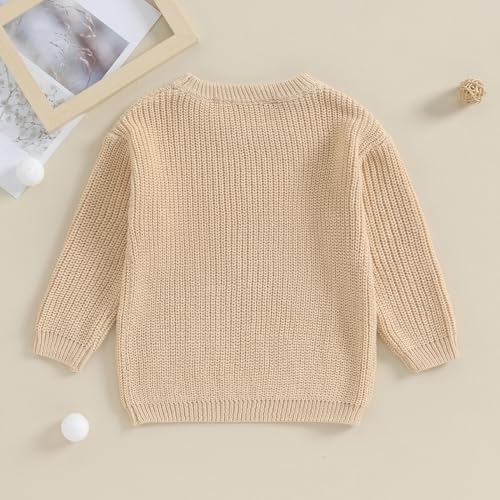 Toddler Baby Girl Boy Long Sleeve Knit Sweater Brothers Sisters Letter Embroidery Round Neck Pullover Fall Winter Tops4