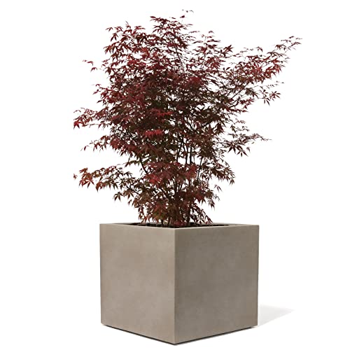 Kirschke Pflanzkübel groß außen - Fiberglas Blumenkübel quadratisch 25x25x25cm - Premium Blumenkasten für Draußen - Blumenkübel Frostsicher - Blumenkasten für den Garten Sepia - Bradford