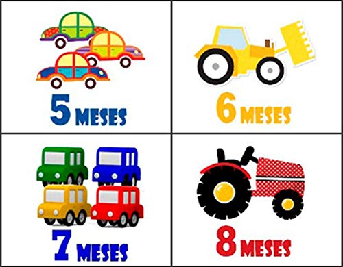 Kit Body de Bebê Mês Aniversário Carrinhos 12 Bodies