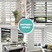Changshade Cordless Zebra Blinds for Windows, Modern Dual Layer Zebra Blinds with Light Filtering & Privacy Control,Easy Install Zebra Blinds for Indoor Windows,（33
