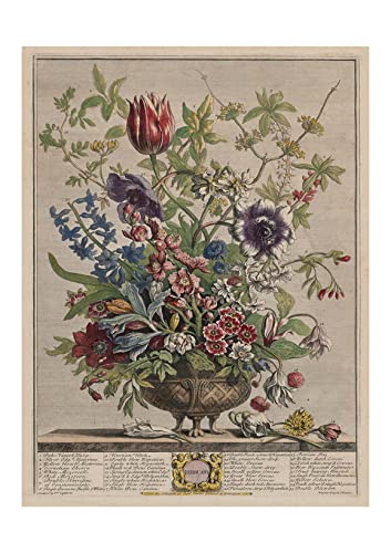 Cadre déco fleurs de Février Robert Furber pour sublimer un salon chaleureux