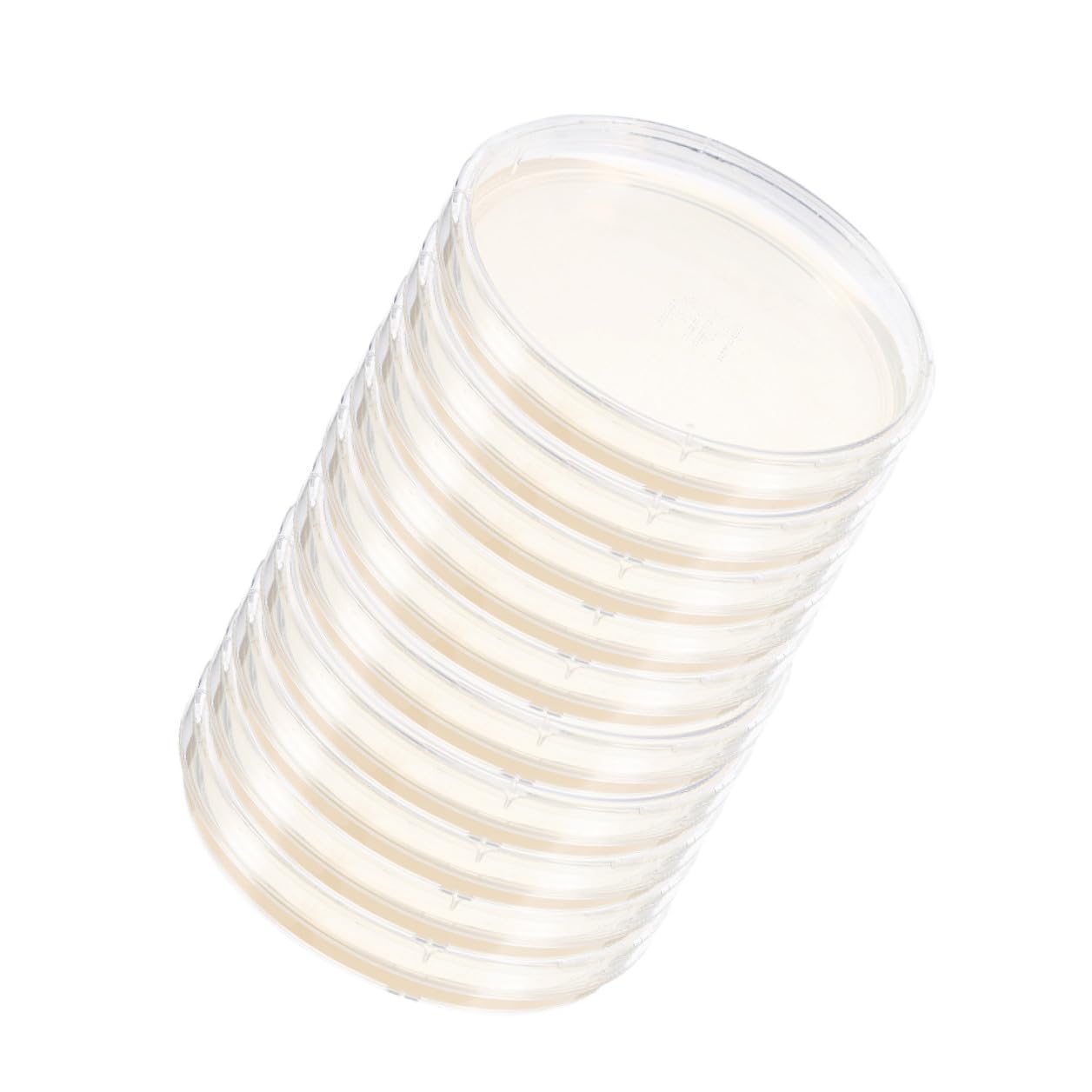 10pcs Nutrient Agar Plates 6cm Pre-Poured Sterile Petri Dishes for Cell Culture and Growth Laboratory Use Science Experiment Specimen Storage