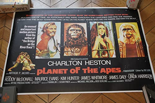 Affiche Planet of the Apes 1969 Quad UK Repro Print pour Cinéphiles 30x40"