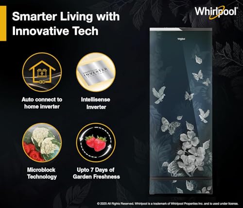 Image of Whirlpool 192 L 4 Star Icemagic Pro Inverter Direct-Cool Single Door Refrigerator (215 IMPRO GD ROY 4S INV SILVIA, Base Stand with Drawer)