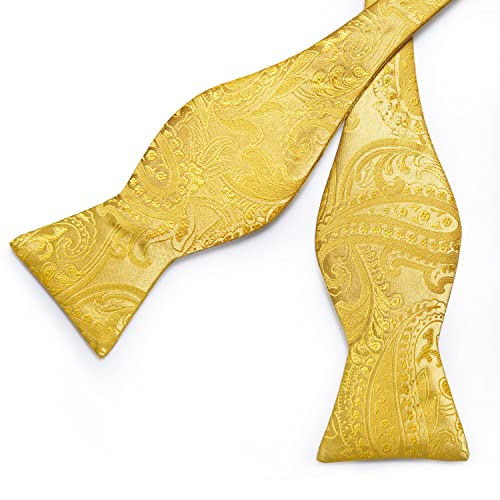 Image of DiBanGu Mens Silk Self Bow Tie Set 4PCS for Tuxedo Wedding