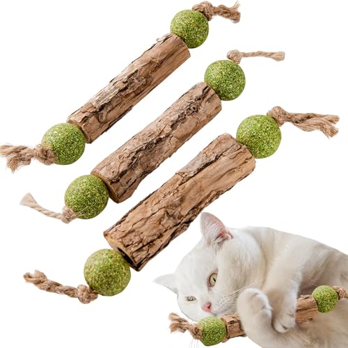 IJPDDRXYN Katzenminze Sticks 3 Stück Matatabi Katzenspielzeug mit Ball Natürliches Zahnpflege-Set gegen Zahnstein Für Kauen Beißen & interaktiven Spielspaß