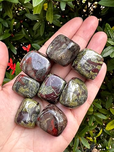 Image of 1 /2 LB Dragon Blood Jasper Tumbled Stones, Polished Dragon Blood Jasper Gemstone, Dragon Blood Jasper Healing Crystals (Dragon Blood Jasper)
