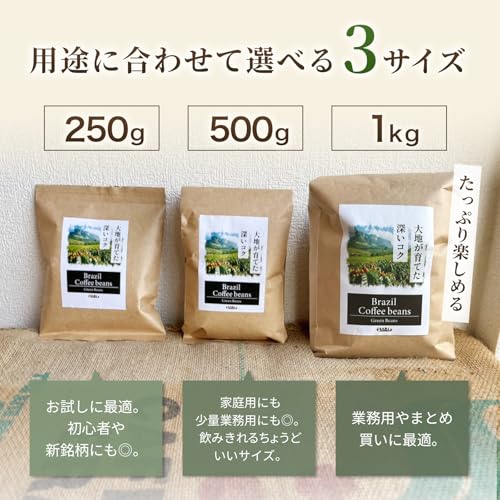 coffee kissa パールズ コーヒー生豆 ブラジル産
