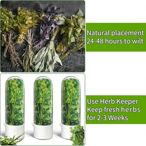 Image of Herb Saver for Refrigerator, Herb Storage Container Cilantro Container for Fridge, Fresh Herb Keeper for Cilantro, Basil, Asparagus, Parsley, Keeps Greens Vegetables for 2-3 Weeks (2PCS)
