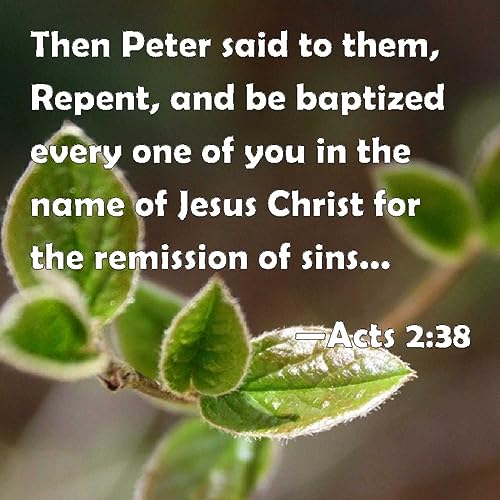 Repentance and Remission