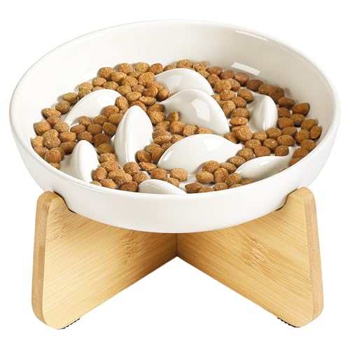 IDOGCHEW Keramik Anti Schling Napf Katze Erhöht, Schlingnapf Katze Nassfutter - Slow Feeder, rutschfest, Einfach zu Reinigen, Antischlingnapf für Katzen und Kleine Hunde, Weiss
