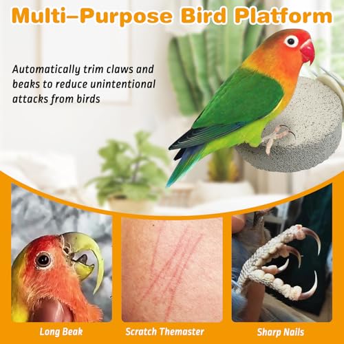 Image of PINVNBY 8 PCS Bird Perch Parrot Beak Grinding Stone Calcium Mineral Parrot Perch Foot Claws Trimmer Chewing Toy Bird Cage Accessories for Small Medium Budgie Cockatiel Conure Lovebird (Lune)