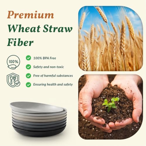 Image of Homienly Wheat Straw Dinner Plates Set of 8-11 Inch, Alternative to Plastic, Microwave & Dishwasher Safe, Unbreakable Kids Plates with 4 Colors (Stone Grey)
