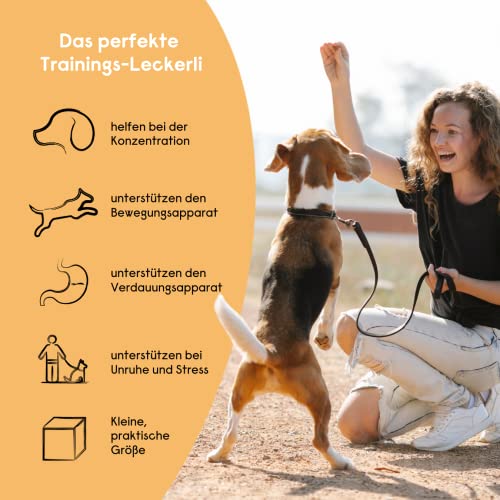 Hanf Minis für kleine Hunde, Snack für Hunde in Würfelform - Getreidefrei, bessere Konzentration, Naturprodukt aus Österreich - 3 x 90g (Huhn)