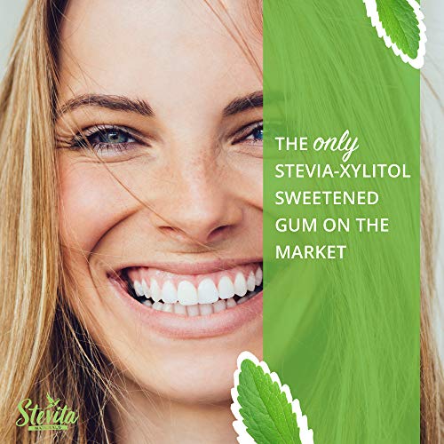 Stevita Stevia Dent Sugar-Free Gum - Natural Wintergreen Flavor (12 Pack) - 12 pieces - Supports Oral Health - Non GMO, Vegan, Keto, Gluten Free - 144 Servings