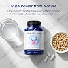 Ultimate Nattokinase Capsules, Nattokinase Supplement 10800 FU Per Serving, Serving for Body Health, and Daily Wellness Support, Vegan, Gluten Free, 60 Capsules (2)