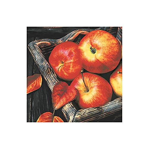 Paper + Design Lunch-Serviette 33x33cm Äpfel, rot/grau (20er Pack)