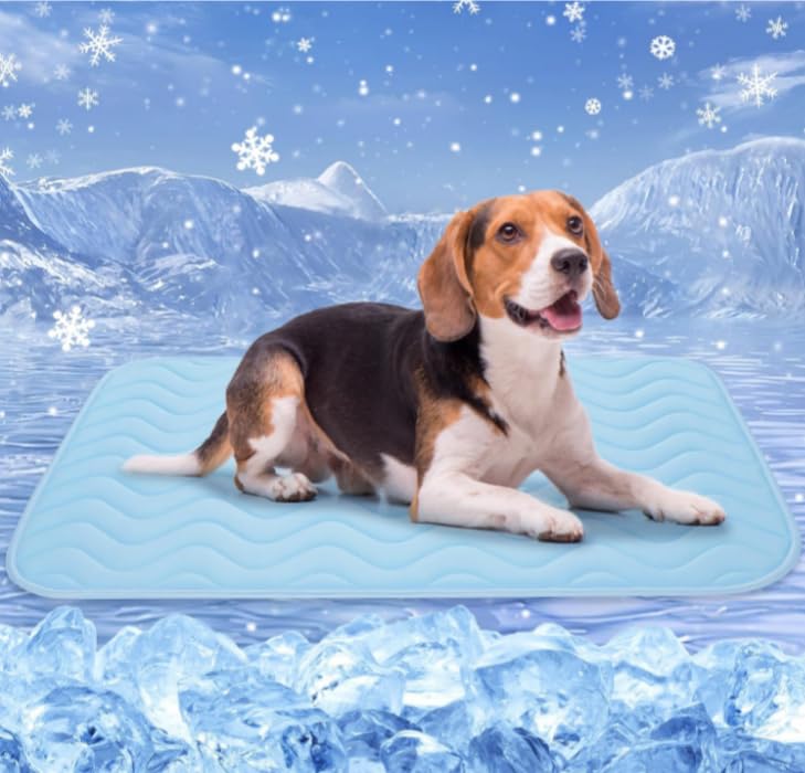Yunova Kühlmatte Hund L (75x60cm), Selbstkühlend & Waschbar, Atmungsaktive Hunde Kühlpad ohne Gel, Faltbare Hundematte für Auto, Sofa & Outdoor, Himmelblau