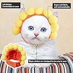Weewooday 5 Sombreros para Gatos Gorro de Disfraz de Conejo con Orejas Gorro de Plátano Piña Divertido Accesorio Disfraz para Gatos y Perros Pequeños Gatito Cachorro (Estilo Lindo)
