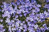 Grow Your Secret Garden