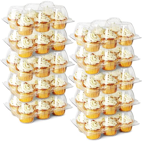 LotFancy (6 Count x 40 Sets) Cupcake Containers Half Dozen Clear Cupcake Boxes Thick Plastic Muffin Holders with Detachable Tall Dome Lid Disposable Cupcake Carriers BPA Free Standard Size