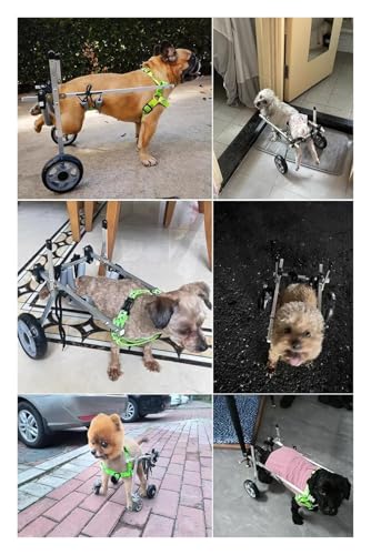 Chariot de marche pour chien handicapé réglable deux roues - 3