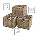 The Lakeside Collection Set of 3 Wicker Storage Basket Bins for Organizing Closet Shelf, Bathroom, Crafting, Kitchen, or Kids Room - Empty Handwoven Seagrass Cubes with Handle for Tidy Organization