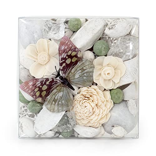 ANDALUCA Maison Box Potpourri Dekorative Vase und Schüsselfüller, Heimdekoration, Paperwhite & Aloe Cover