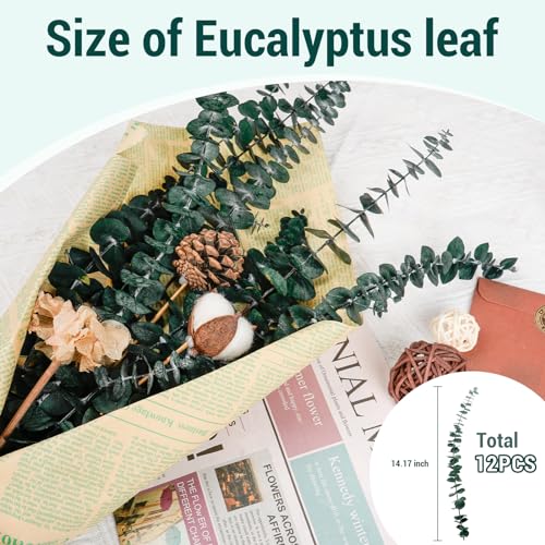 12 peças de eucalipto seco para pendurar no chuveiro, 43 cm, hastes de eucalipto preservadas, verde,