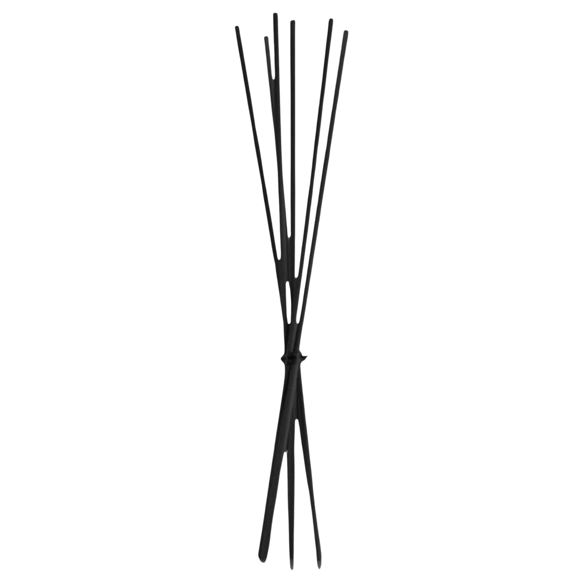Felce Azzurra Diffusore Ambiente a Bastoncini, Fragranza THE BIANCO E OSMANTO, Formato 120ml + Ricambio 10 Bastoncini Per Diffusori Neri (6 Unità + Bastoncini)