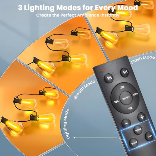 Image of Decorative LED Light Waterproof Shatterproof for Indoor /Outdoor Lighting Energy Saving Hanging Light for Cafe Restaurant Garden Balcony (24V Light - Dimmable with Remote)