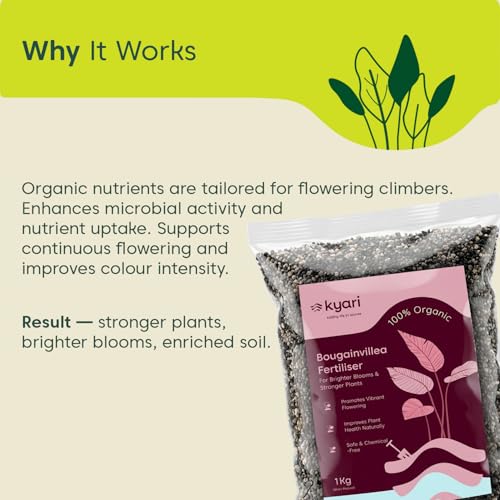 Image of Kyari Bougainvillea Fertilizer 1kg | Plant Food for More Flowers, Bright Colour Blooms & Healthy Vine Growth | Promotes Faster Flowering for Home Garden Plants