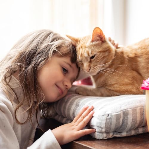 Kakadu - bei euch - Milla hat endlich eine Katze bekommen