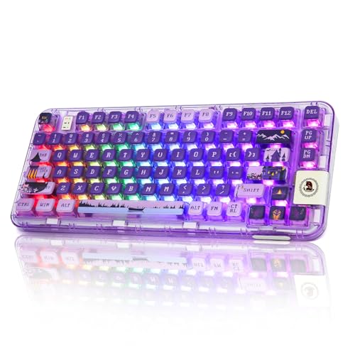 【新品未使用】Chalice 40%キーボード Lilac 有線無線版 61ork9sveaL._AC_UL210_SR210,