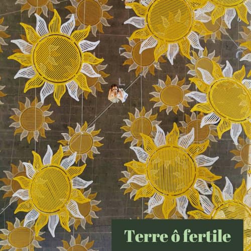 #22. Bilan de 6 mois de turbulences et de r&eacute;ajustements (et retour au salariat !)