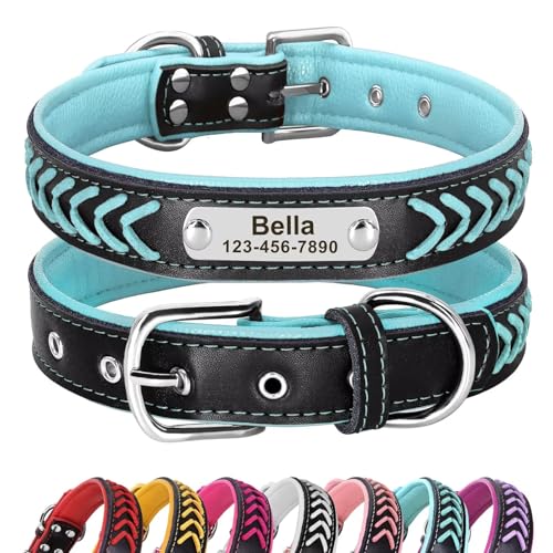 Didog Personalized Leather Dog Collar, Braided Custom Leather Dog Collars with Engraved Nameplate for Small Medium Large Dogs, Blue, L