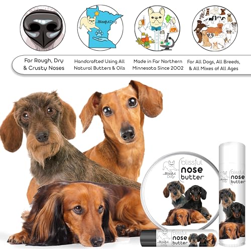Image of The Blissful Dog Daschund Nose Butter for Dry, Cracked Skin, Lick-Safe Dog Nose Balm with Moisturizing Shea Butter, Almond, Olive, and Essential Oils, Pet Supplies, Uncented, 2 oz.