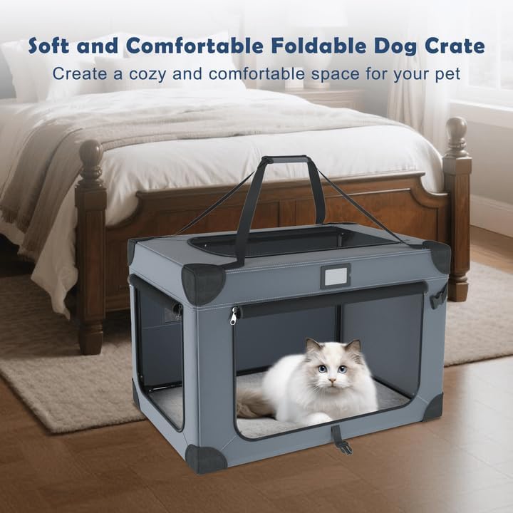 https://m.media-amazon.com/images/I/51Jj7SSwcLL._AC_.jpg