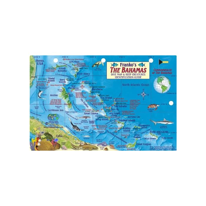 Buy Bahamas Map & Reef Creatures Guide Franko Maps Laminated Fish Card