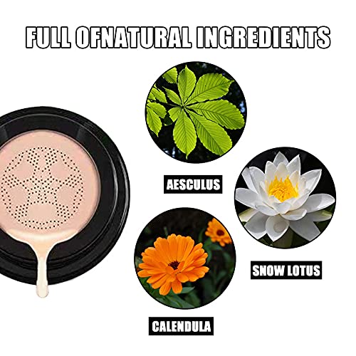 Hinbest Cogumelo Head Air Cushion BB Cream Face Makeup Corretivo fosco de longa duração