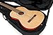 Gator Cases Lightweight Polyfoam Guitar Case For Classical Style Acoustic Guitars; (GL-CLASSIC)