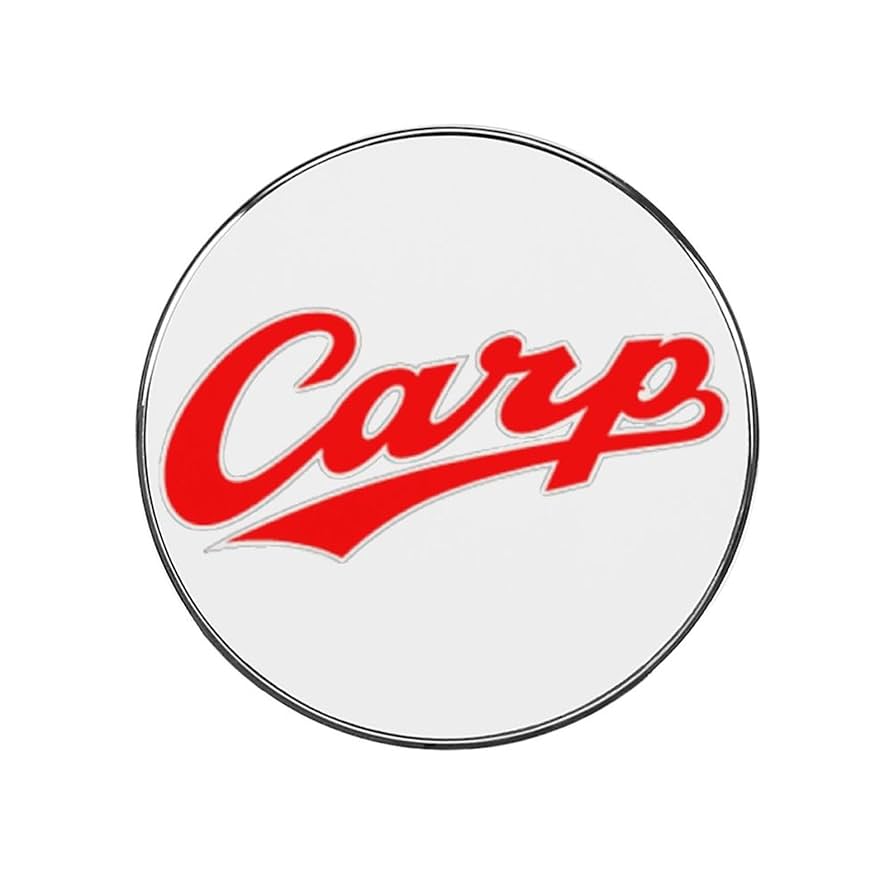 Amazon.co.jp: 広島 東洋カープ 冷蔵庫用マグネット 台所 磁気