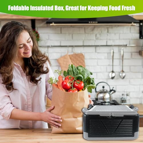 Faltbar Thermobox 26L Styroporbox 43x43x25cm Warmhaltebox für Essen mit Integrierter Deckel Multifunktional Kühlbox Transportbox für Camping Picknicks Lebensmittel Transport(Schwarz + Grau)