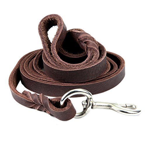 Petroad Heavy Duty Brown Leather Dog Leash for Large Dogs, Training Lead for Dogs and 6ft Long and 3/4 inch Large (Brown)