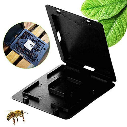 Danigrefinb Beekeeping Supplies 5Pcs Bee Keeping Beehive Case Catcher Nest Type Plastic Beetle Insect Bug Trap