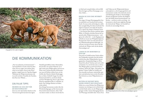 Das Zuchtbuch: So gelingt das Abenteuer Zucht (Praxiswissen Hund)