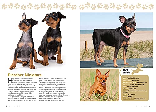 A Enciclopédia Ilustrada de Raças de Cães - Volume 6: Um guia visual de A a Z com 176 Raças para voc